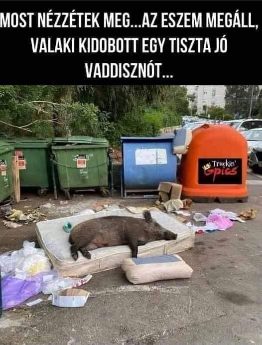 Vadisznó.jpg