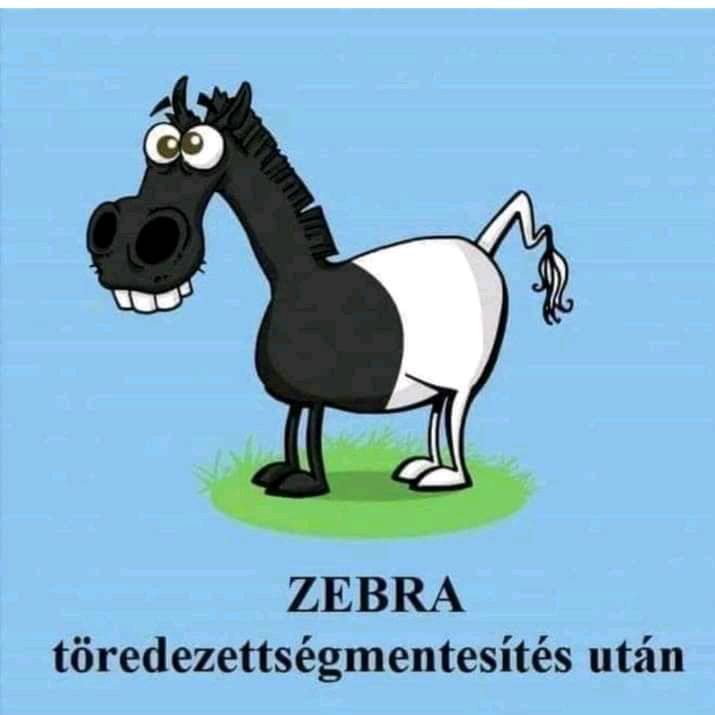 Zebra töredezettségmenesítés után.jpg