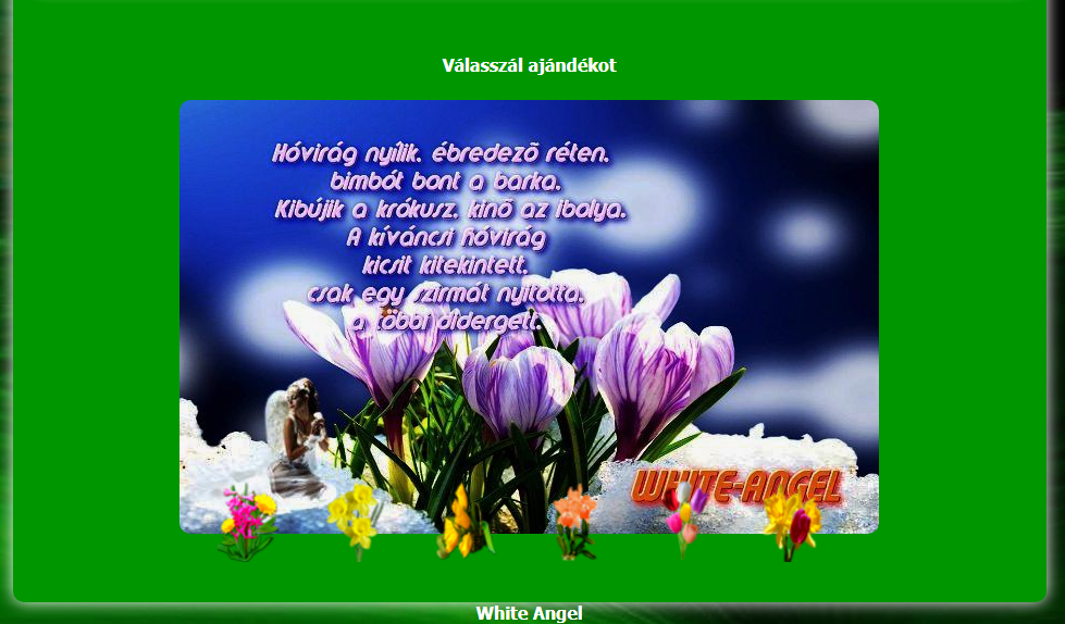 upload_2022-2-15_17-2-46.png