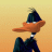 duck71